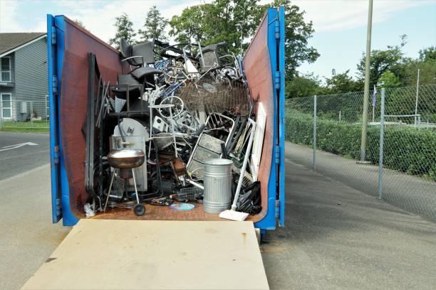 Yard Cleanup Services in Seymour, MO